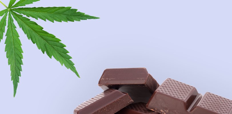Thinking About Entering the Cannabis Edibles Market in Canada? Here are 3 Things You Need to Know